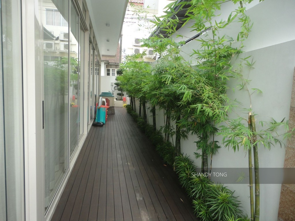 Serangoon Garden Estate (D19), Terrace #107917292